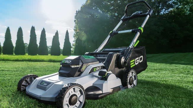 Modern electric lawn mower in sunny garden